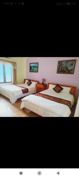 Phong Nha Midtown Hotel